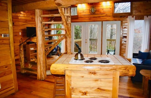 Rogers House | Hidden Falls Cabin - Cozy RRG Retreat - Forest Views