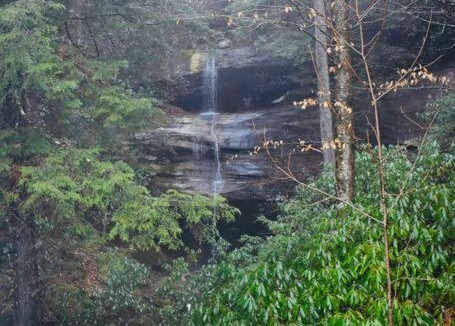 Rogers House | Hidden Falls Cabin - Cozy RRG Retreat - Forest Views