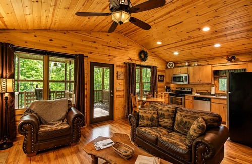 Helen Cabin | Hot Tub, Firepit, Minutes to Helen