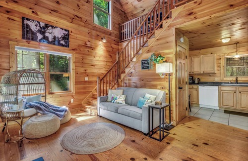 Skyland Cabin | Hot Tub Private Cabin Fenced Yard Fireplace Min to DT, Biltmore, Blue Ridge Pkwy