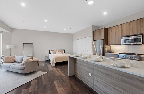 Pulaski Park Apartment | Huge Luxury Studio Apartment in Nevele22 - Chicago River West