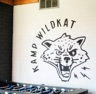 Waynesville House | Kamp Wildcat - Family Retreat, Fire Pit, Grill, and 4 Acres!