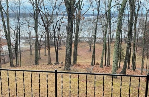 Kuttawa House | Lakefront Lake Barkley- Renovated Nature Retreat
