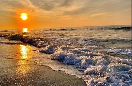 Myrtle Beach Hotel | Landmark resort