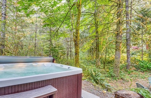 Lake Lure Cabin | Large log home in Lake Lure, HOT tub/Game room/pet