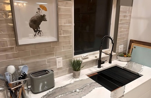 Carbondale House | Luxurious 2BR Creekside Deckhouse w Saltwater Hot Tub