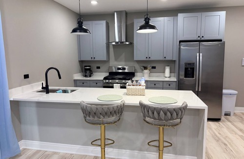 Bronzeville Apartment | Luxury New Construction Condo - Chicago Living at Its Finest