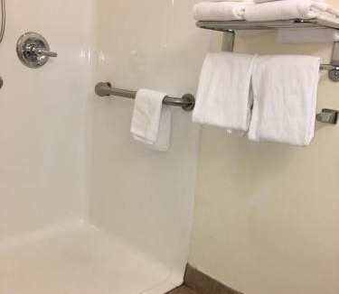 Wayne Hotel | Microtel Inn & Suites by Wyndham Indianapolis Airport