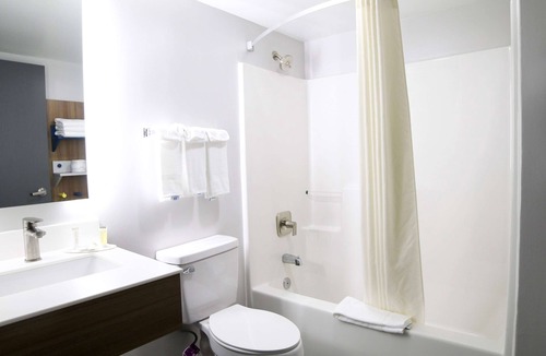 Paw Creek Hotel | Microtel Inn & Suites by Wyndham Charlotte/Northlake