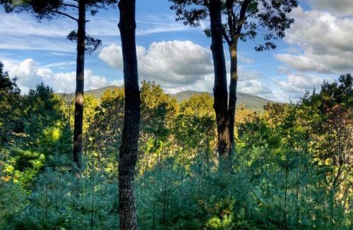 Ellijay House | Misty Ridge