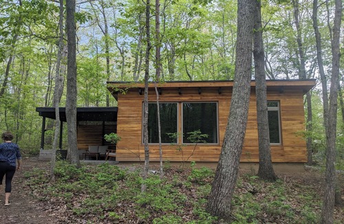 Rising Fawn Cabin | Modern Cloudland Cabin, 1.5 miles of private trails through 10 acres of woodland