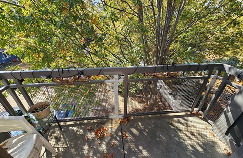 NoDa Condo | Natural light, walkable. Restaurant & rail access. Trendy neighborhood