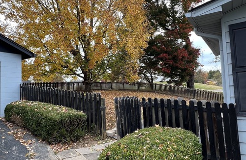 Somerset House | Newly Remodeled 4 bedroom - 5 minute walk to downtown fountain!
