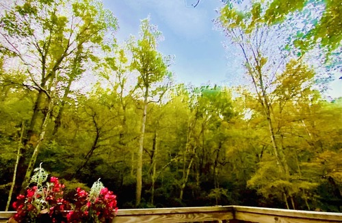 Saluda House | Our Little Slice of Heaven, with breathtaking views of the Pacolet River!