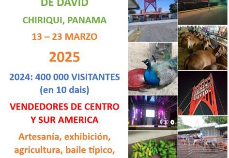 David Hostel | PaCasa Hostel