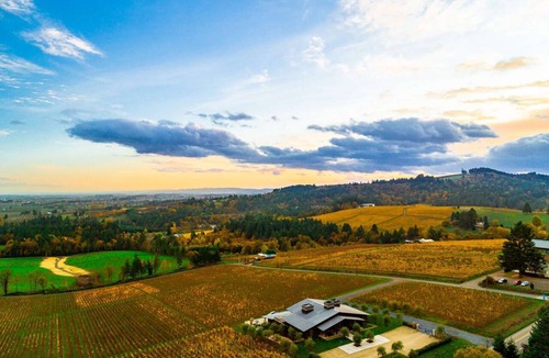 Dundee House | Panoramic Vineyard Views, Pet Friendly, New Deck, Game Room, Ping Pong, Darts, Walk to Vineyards
