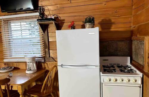 Columbia House | Pet Friendly Log Cabin with Firepit near Green River Lake in Columbia, Kentucky