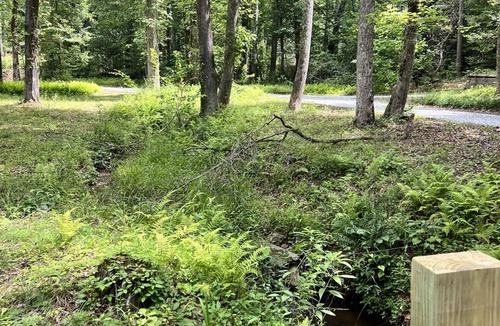 Clarkesville Cabin | Private cottage on 3 acres with 2 creeks running through it. Close to LakeBurton