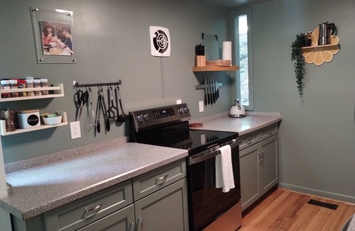 Berkeley Springs Cabin | Private hot tub, wooded, EV charger, 1-gig fiber internet