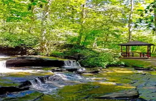 Lake Lure Cabin | Private log home with lake/beach/River/Mountains/HOT TUB / Canoes/Pets.