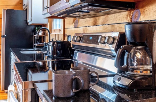 Townsend Cabin | Private Wooded Cabin w/Hot Tub, Fire Pit & Arcade