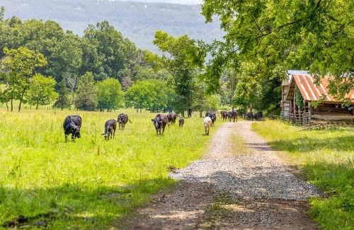 Lookout Valley Neighborhood Association House | Quail Run Farm House, 15 Mins to Chattanooga