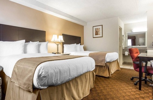 Greensboro Hotel | Quality Inn & Suites Coliseum