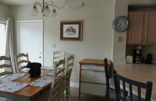 Pigeon Forge House | River Place Condos #410 3BD