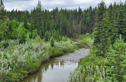 Bragg Creek Cabin | Riverfront Dome Retreat | Private Bath + Views