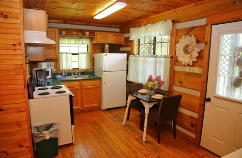 Townsend Cabin | Romantic Getaway in the Smokies-HOT TUB & JACUZZI - Blue Spruce