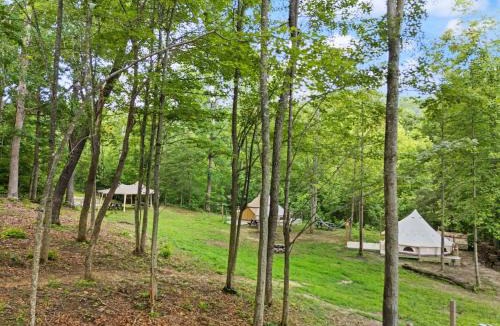 Stanton Other | RRG Glamping Tent, AC, Fire Pit, Shared Hot Tub