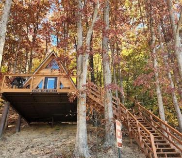 Scio Ski Chalet | Rustic Tree A-Frame with Original Design by Tappan Lake in Ohio