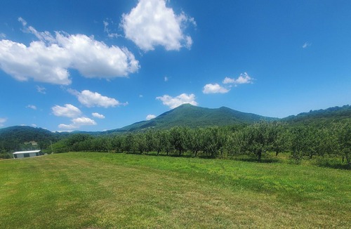 Peaks RV Rental | RV Campsites at Peaks of Otter Winery & Orchards