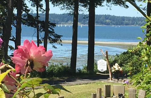 Bow Cottage | September dates still available! Awesome views, close to great food & fun hikes!