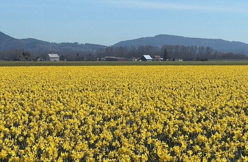 Bow Cottage | September-Fall dates still open. Awesome views, close to great food & fun hikes!