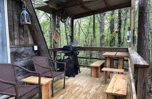 Muscadine Cabin | SHEKHINA A tiny house in the woods. 40 acres. Total privacy. Weekend retreat.