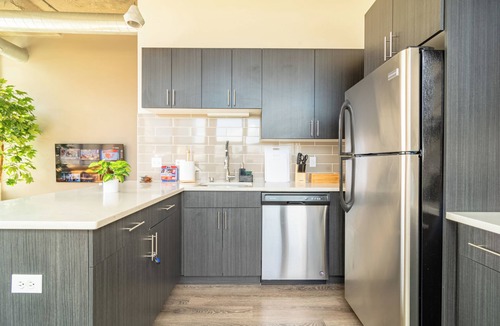 Near South Side Hotel | Skyline 2BR in South Loop Chicago Near McCormick Place & Soldier Field