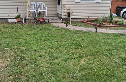 Carbondale House | Small and Cozy 3-bedroom house with AC in enchanting Carbondale