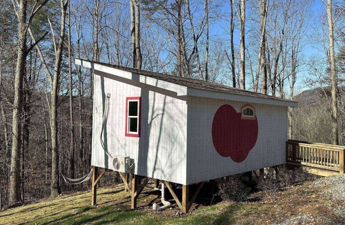 Wildwood Cabin | SPECIAL No Pet Fees - Bring friends to enjoy all Wild Acres has to offer - Hang gliding & hiking