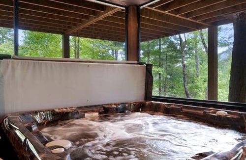 Hidden Lake House | Spectacular Cabin with Incredible Living Areas Cherry Log, Georgia
