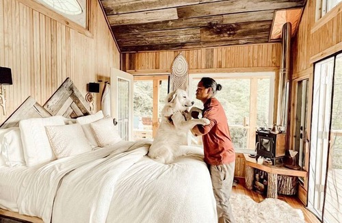 Canton Cabin | Stunning Pet-Friendly Treehouse for Relaxing Glamping Retreats in North Carolina