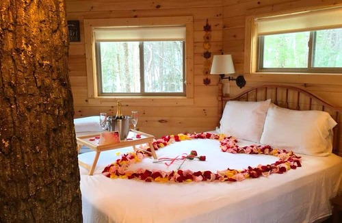 Hico Cabin | Stunning Tree House Rental in the Forest near Beckley, West Virginia