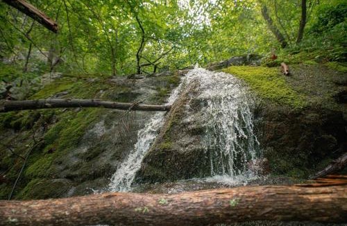 Rileyville House | Sunset Cabin Privacy, Views, HotTub, Firepit, BBQ, Pets