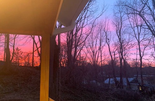 Westwood Place Cabin | The Bluebird- A Cute, Cozy Tiny House, 5 mins to Downtown Asheville
