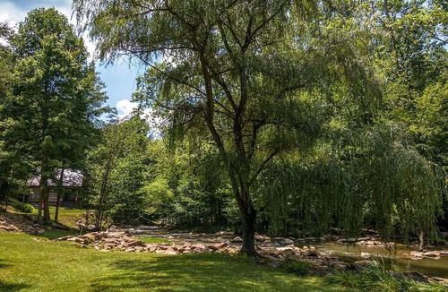 Goldbond Cabin | The Fishing Creek Cabin at Four Fillies Lodge w/Hot Tub
