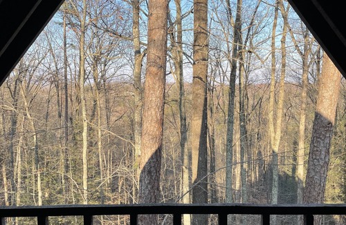 Wellington Cabin | The Getaway - Wi-Fi - Pet friendly - New Deck