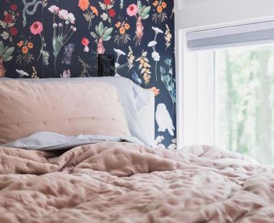 Sylva Apartment | The Locust - Cozy, Peaceful Hideout, Sauna, Hiking, and Great Food