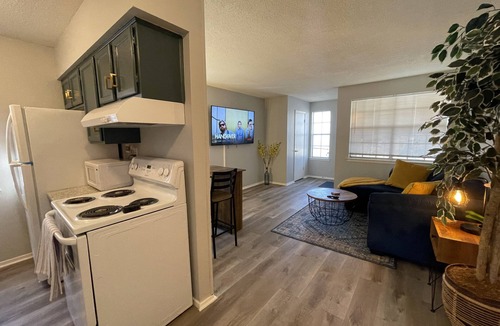 Central Gardens Apartment | The Yellow Brick Abode Modern | Comfort | 2 Bdr