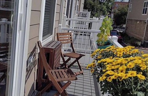Northeast House | This is a luxurious ultimate escape which is Fully furnished