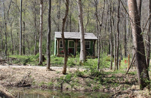 Athens Apartment | Tiny "Topiary" cabin in the forest